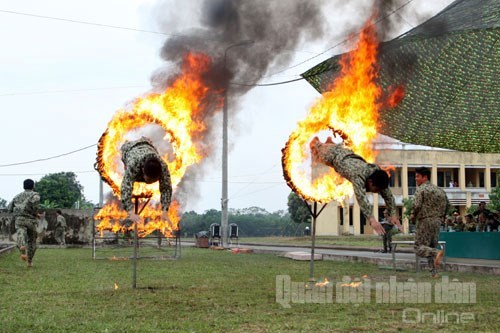 Hình ảnh sự kiện