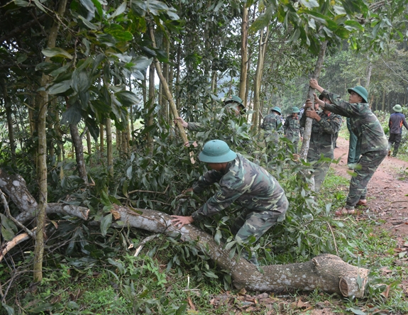 Hình ảnh sự kiện