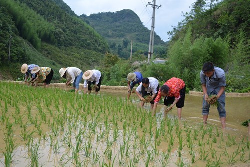 Hình ảnh sự kiện