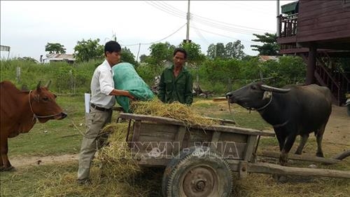 Hình ảnh sự kiện