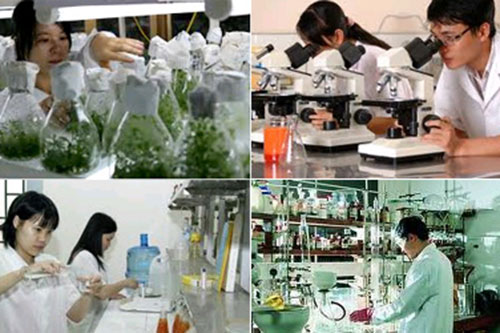 Hình ảnh sự kiện