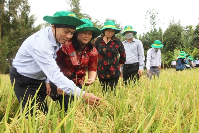 Hình ảnh sự kiện