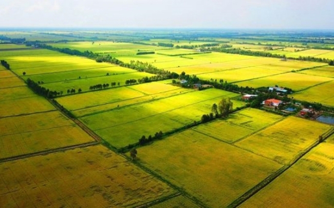 Hình ảnh sự kiện