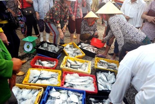 Hình ảnh sự kiện